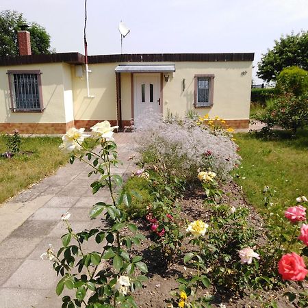 Ferienhaus Kaiserfelder Olbersdorf Exteriör bild